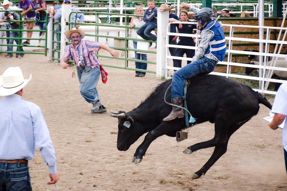 Chaffee County Fair and Rodeo